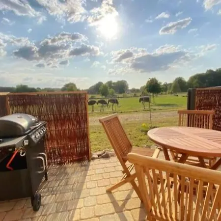 別荘 Tiny Haus Straussenblick 2 *