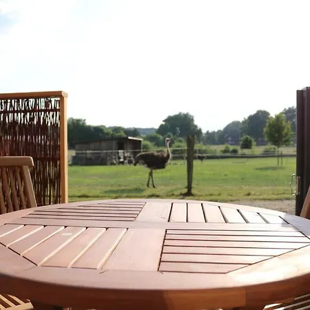Tiny Haus Straussenblick 2 Prázdninový dům Bad Fallingbostel